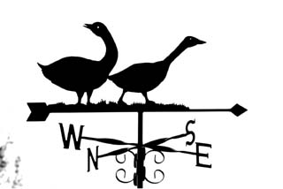 Two geese weather vane